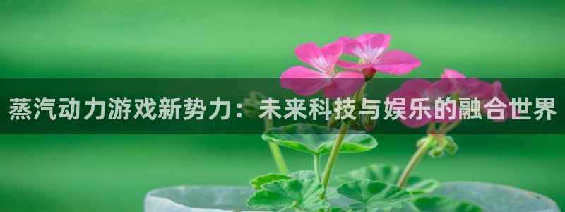 多彩娱乐注册：蒸汽动力游戏新势力：未来科技与娱乐的融合世界