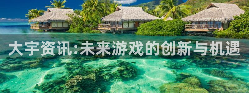多彩娱乐主管：大宇资讯:未来游戏的创新与机遇