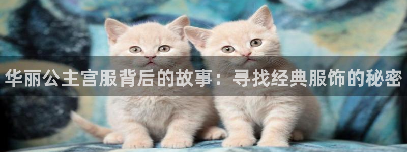 多彩娱乐注册开户：华丽公主宫服背后的故事：寻找经典服饰的秘密