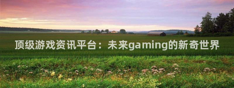 多彩娱乐平台登录：顶级游戏资讯平台：未来gaming的新奇世