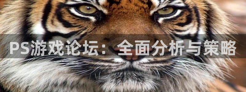 多彩娱乐科技