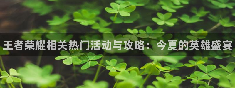 多彩娱乐4招商