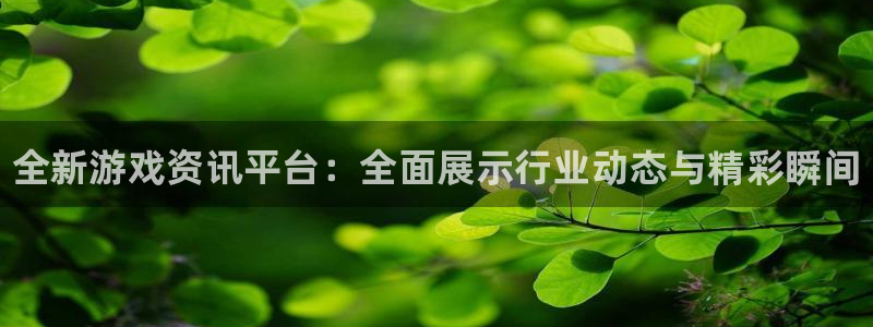 多彩娱乐平台注册：全新游戏资讯平台：全面展示行业动态与精彩瞬