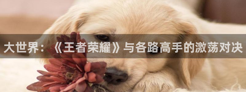 多彩娱乐4招商：大世界：《王者荣耀》与各路高手的激荡对决