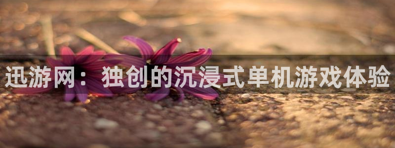 多彩娱乐4招商：迅游网：独创的沉浸式单机游戏体验