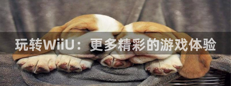 多彩娱乐注册官方登录app：玩转WiiU：更多精彩的游戏体验