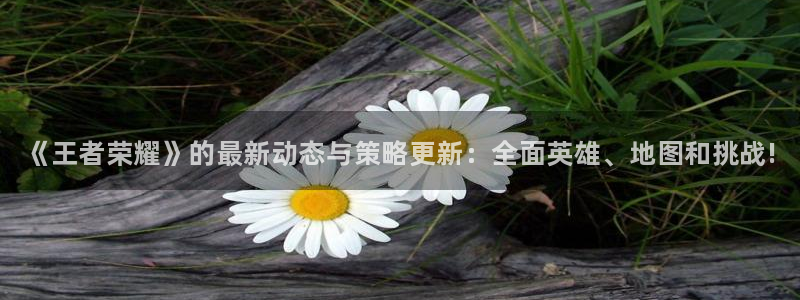 多彩娱乐下载：《王者荣耀》的最新动态与策略更新：全面英雄、地