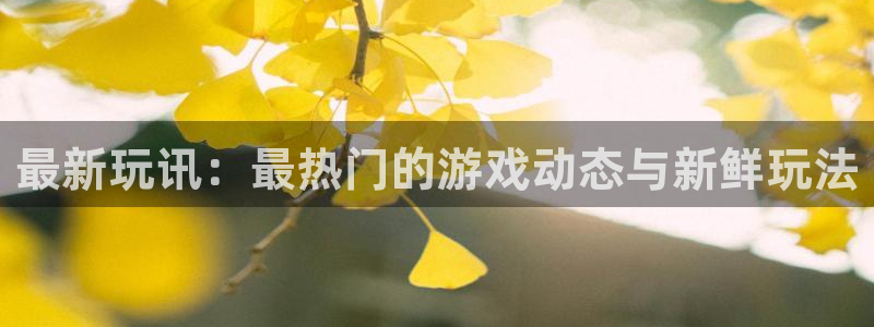 多彩娱乐线路测试：最新玩讯：最热门的游戏动态与新鲜玩法