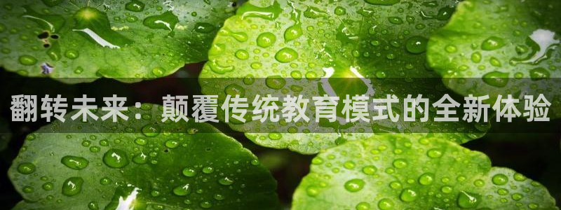 多彩娱乐登陆测速：翻转未来：颠覆传统教育模式的全新体验