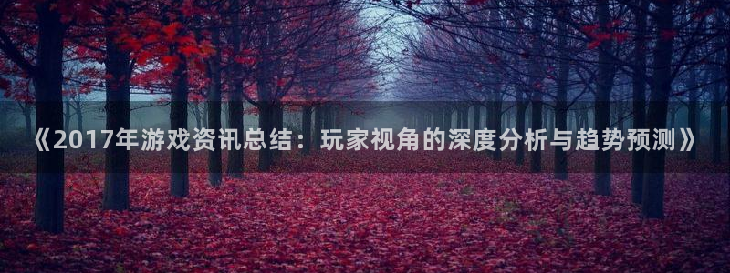 多彩娱乐登录网址：《2017年游戏资讯总结：玩家视角的深度分