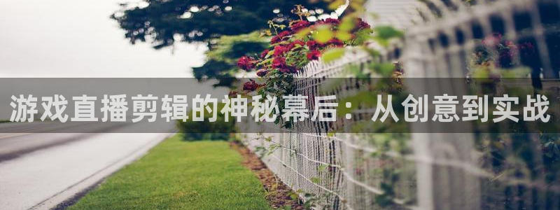 多彩娱乐平台登录：游戏直播剪辑的神秘幕后：从创意到实战