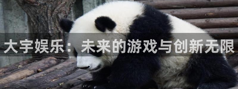 多彩娱乐官方登录网址：大宇娱乐：未来的游戏与创新无限