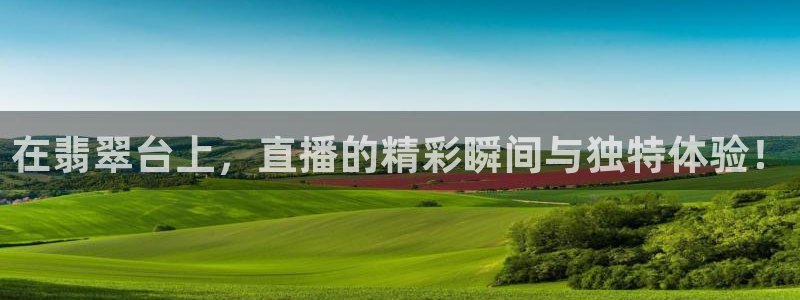 24直播网足球直播：在翡翠台上，直播的精彩瞬间与独特体验！