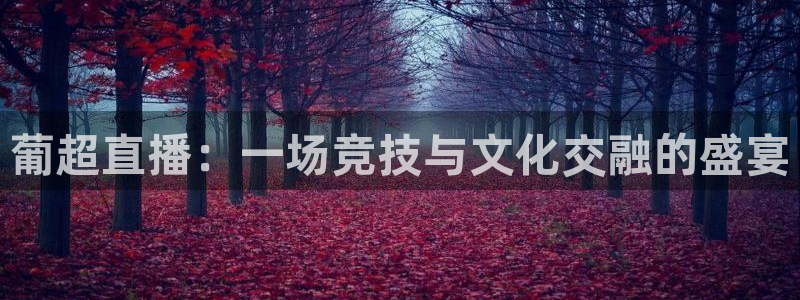 24直播免费足球直播：葡超直播：一场竞技与文化交融的盛宴