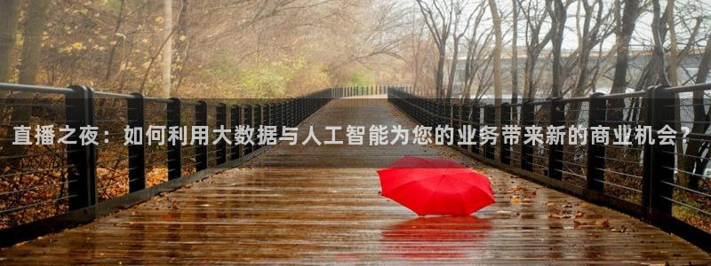 24直播免费篮球直播在线观看：直播之夜：如何利用大数据与人工智能为您的业务带来新的商业机会？