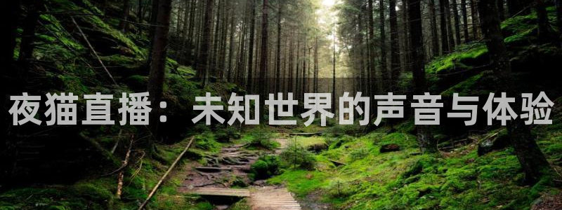 足球比赛24直播免费：夜猫直播：未知世界的声音与体验