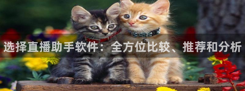 24直播吧nba在线直播jrs低调看直播：选择直播助手软件：全方位比较、推荐和分析