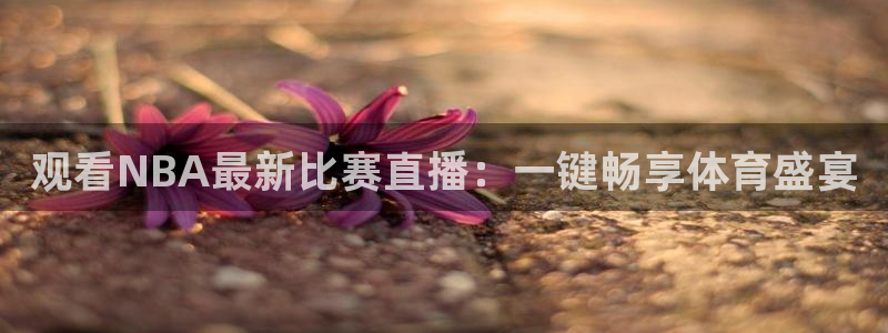 24直播篮球：观看NBA最新比赛直播：一键畅享体育盛宴