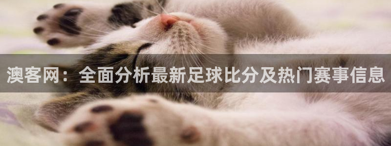 足球直播吧24直播网：澳客网：全面分析最新足球比分及热门赛事信息